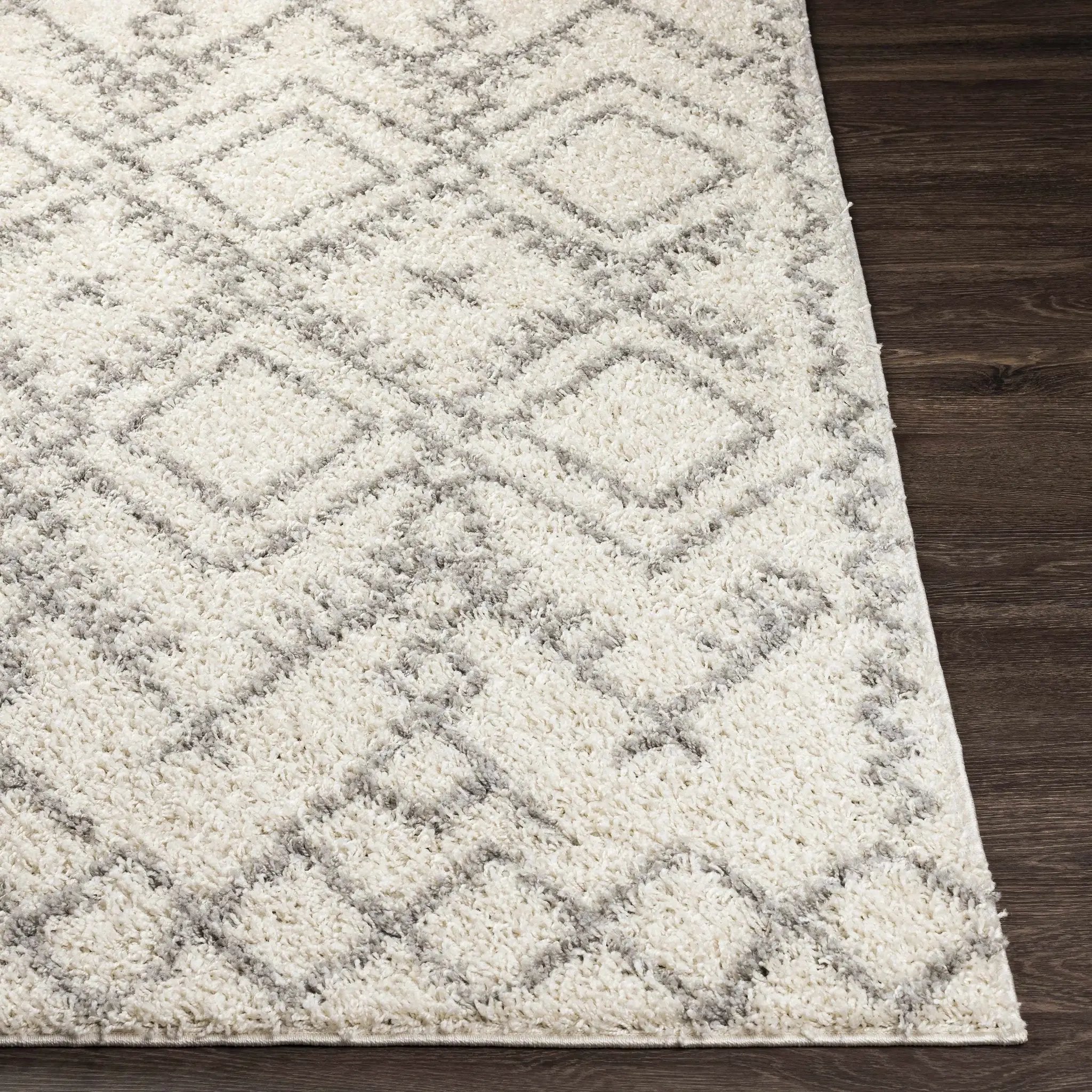 Atascadero Area Carpet - Clearance by Boutique Rugs