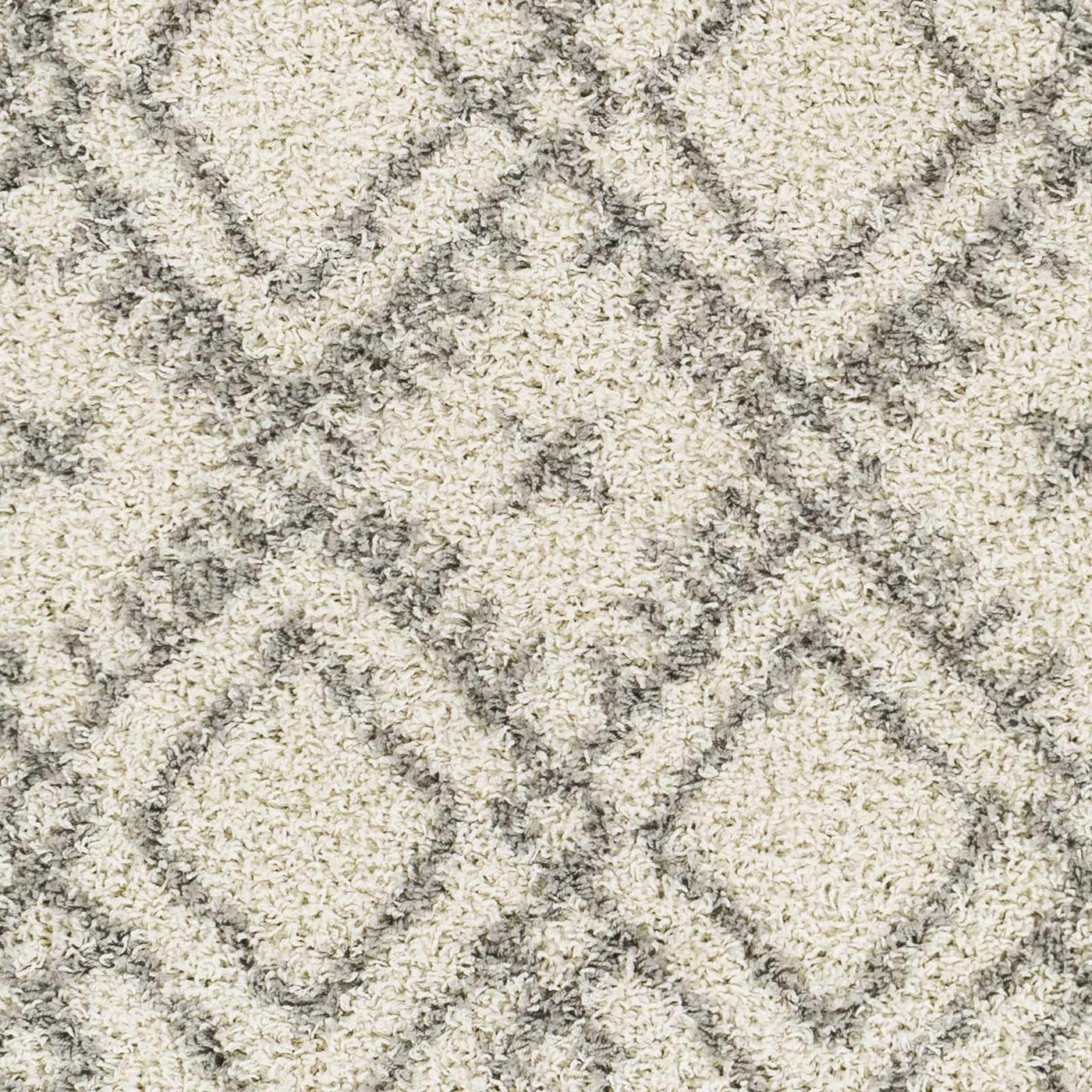 Atascadero Area Carpet - Clearance by Boutique Rugs
