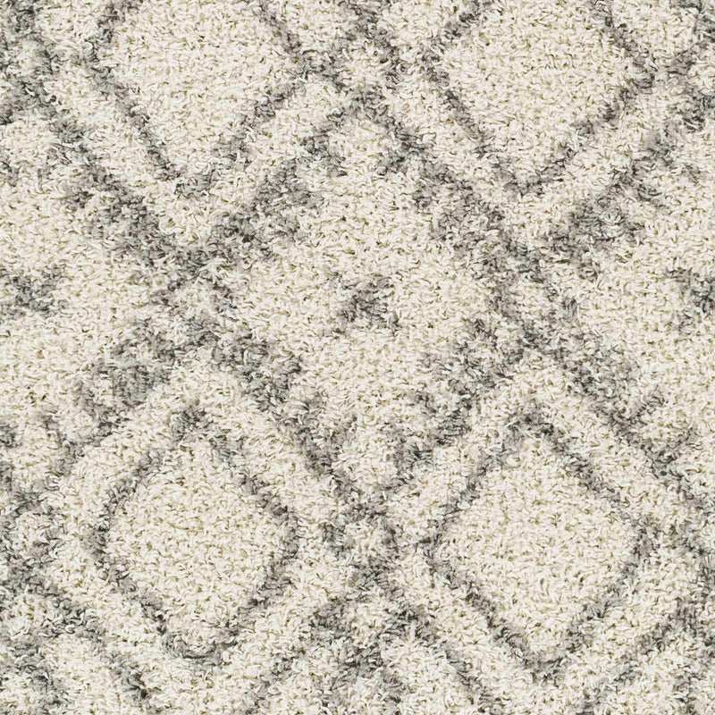 Atascadero Area Carpet - Clearance by Boutique Rugs