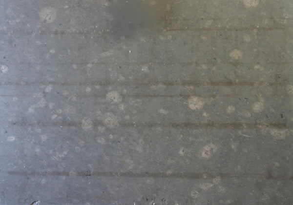 Atlantic Blue Polished Limestone Slab Random
