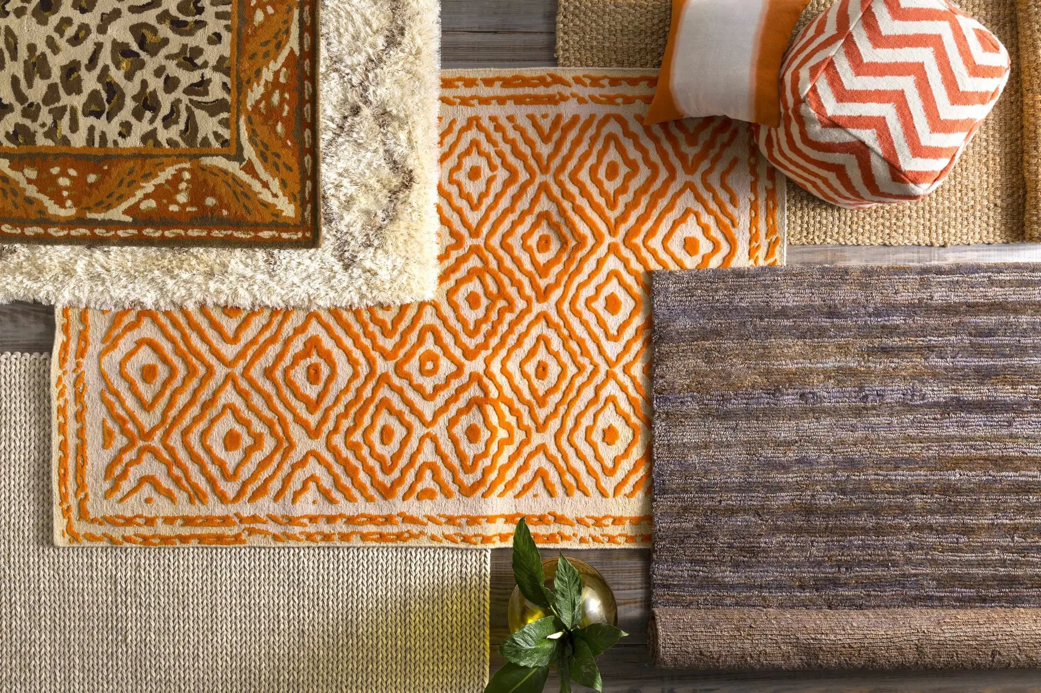 Jeddo Area Rug - Clearance by Boutique Rugs