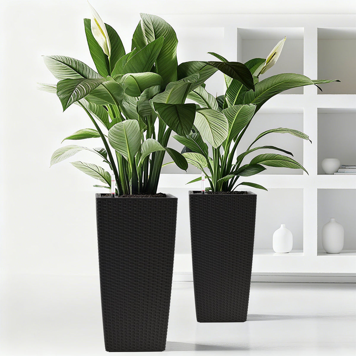 Square Planters with Automatic Watering System - Faux Rattan, Pack of 2, photo 2 of 15