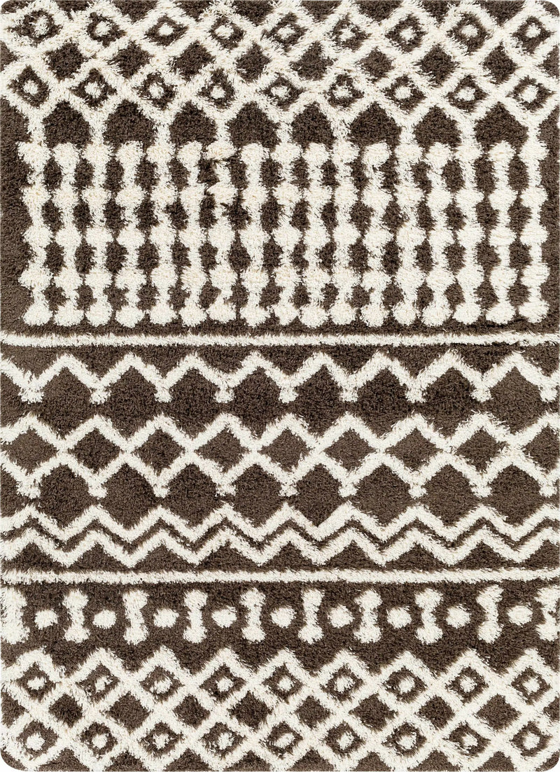 Aysel Shag Area Rug by Boutique Rugs