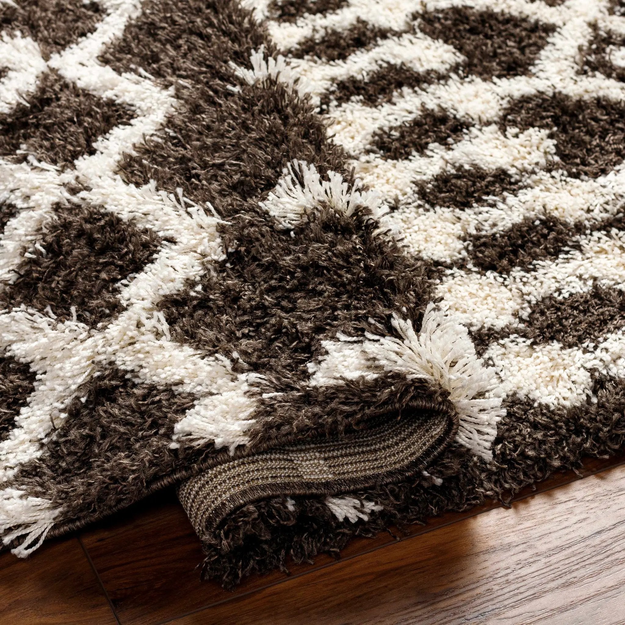 Aysel Shag Area Rug by Boutique Rugs