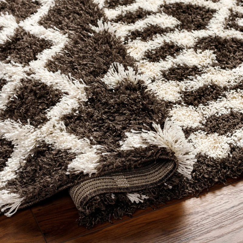 Aysel Shag Area Rug by Boutique Rugs