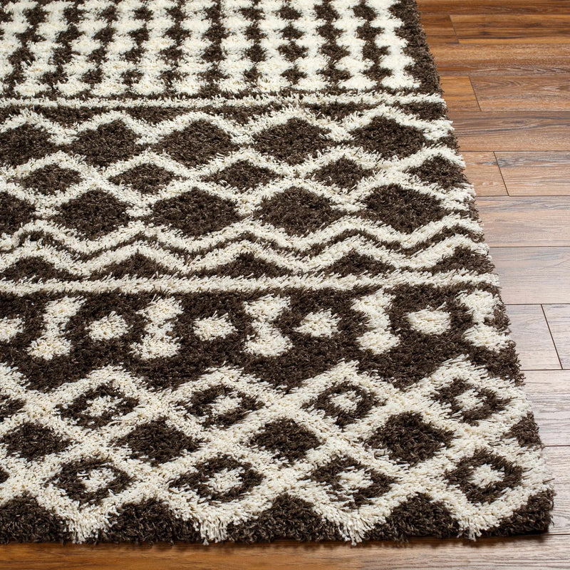 Aysel Shag Area Rug by Boutique Rugs