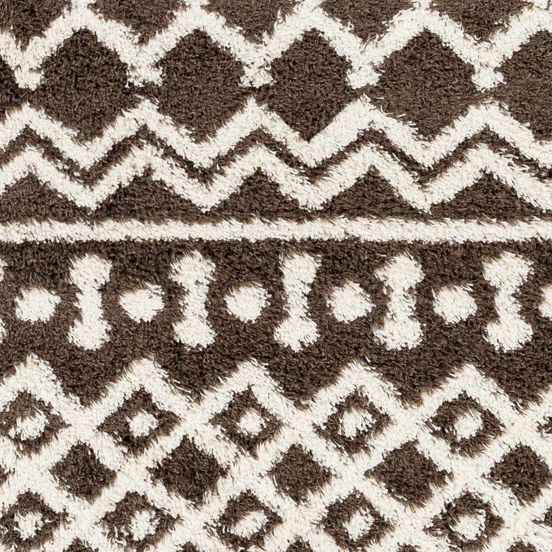 Aysel Shag Area Rug by Boutique Rugs