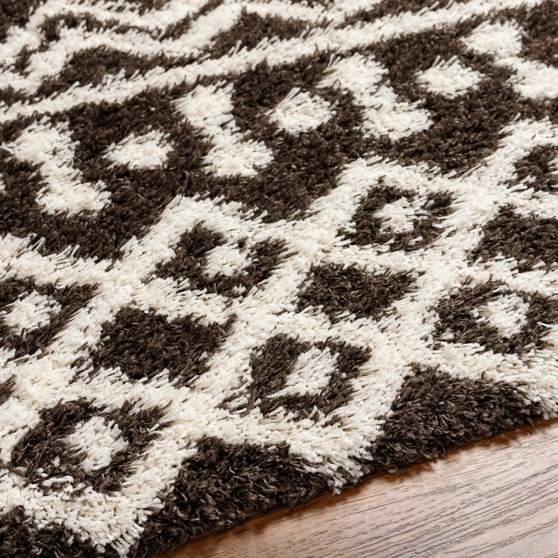 Aysel Shag Area Rug by Boutique Rugs