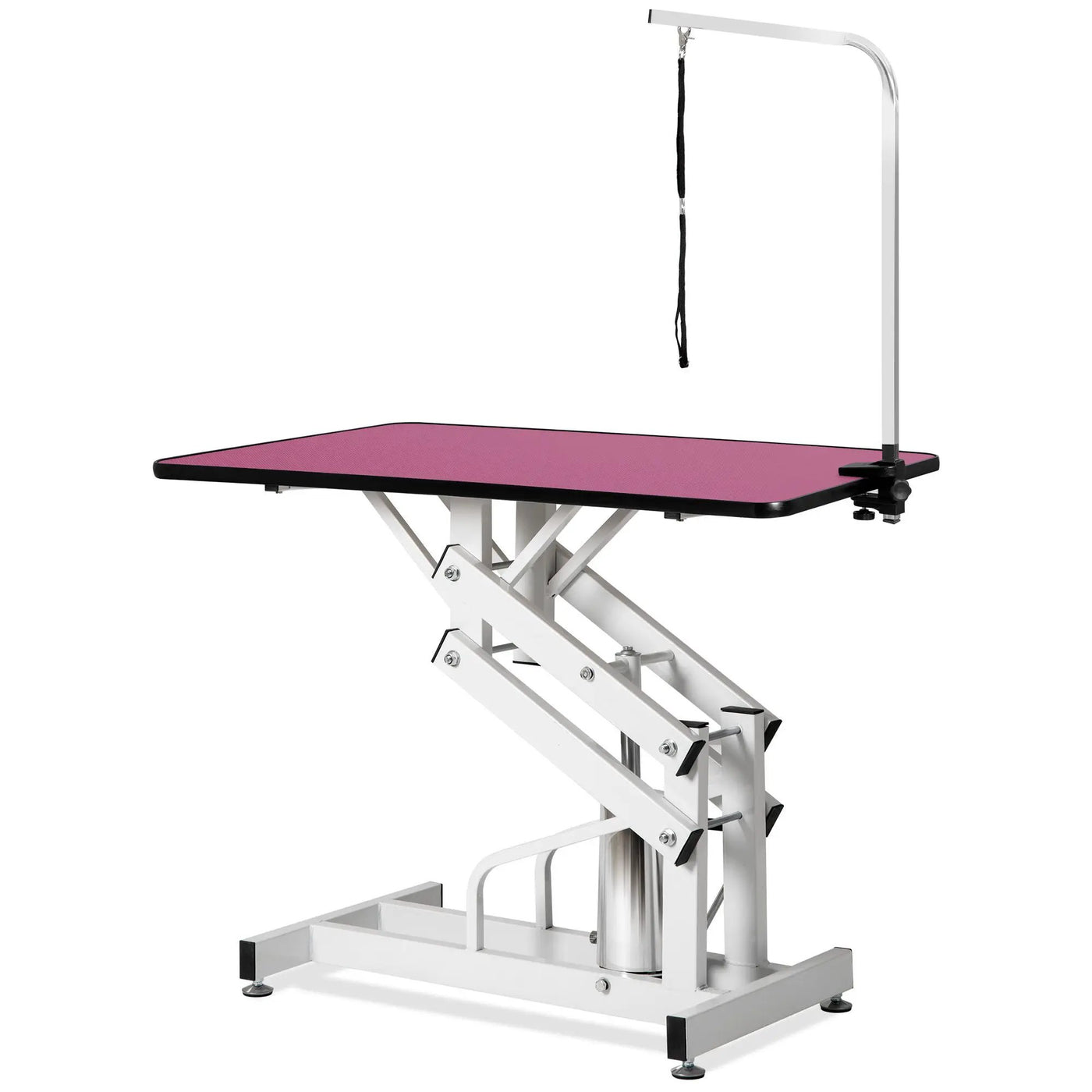 Hydraulic Pet Grooming Table by HouseOfZazla