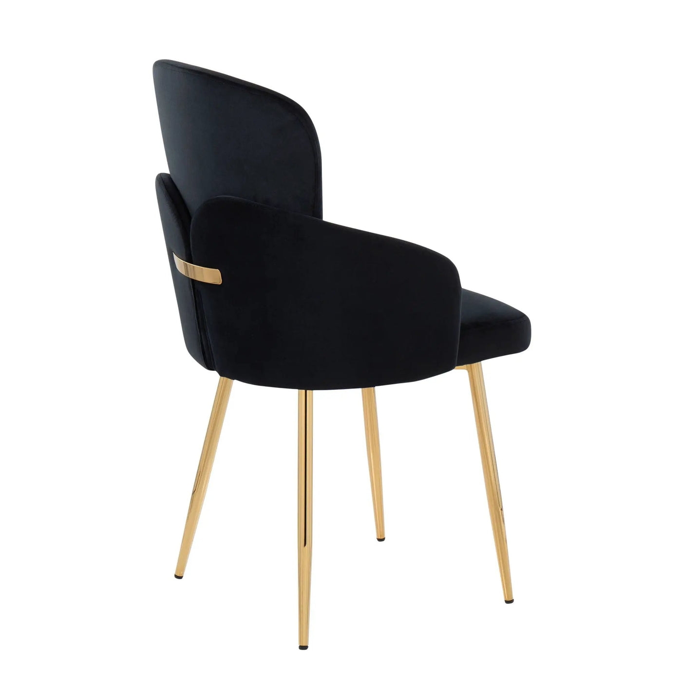 Dahlia - Contemporary Dining Chair (Set of 2) by HouseOfZazla