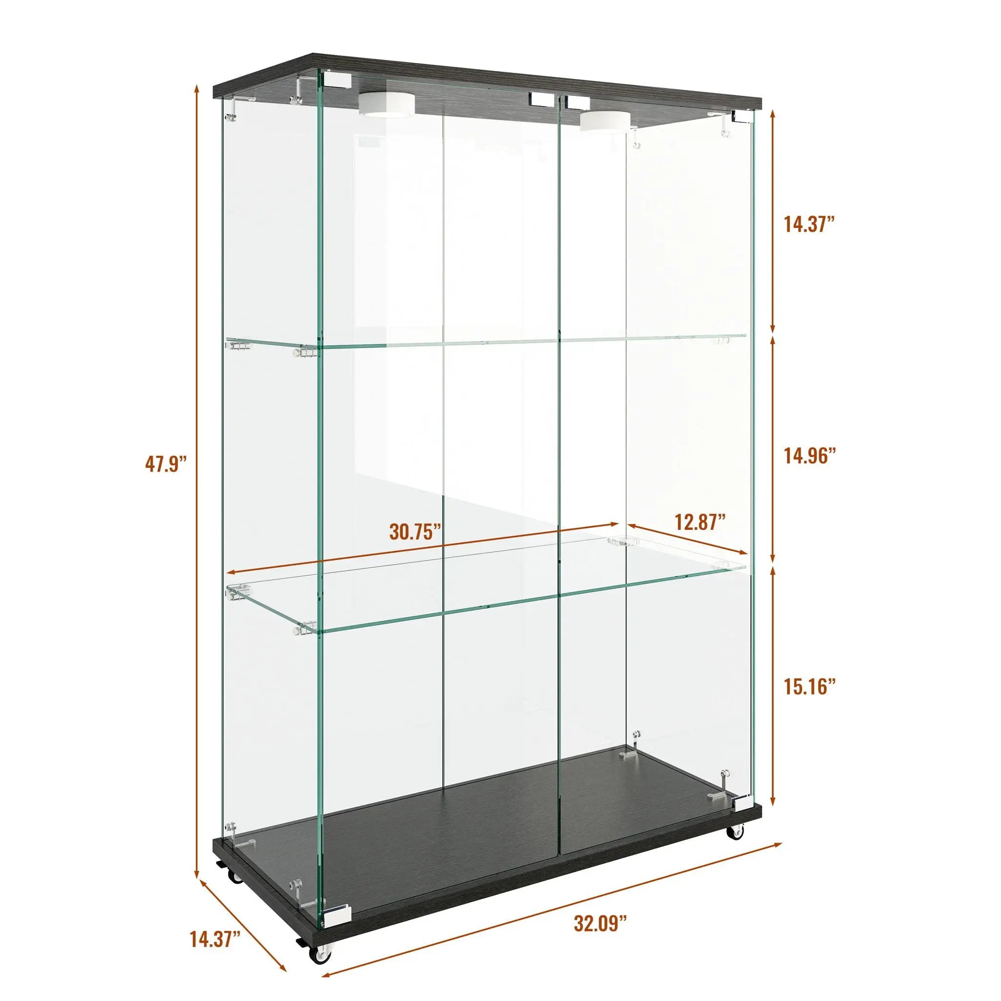 Modern Display Cabinet With LED Lights, Transparent Tempered Glass 2 Door Storage Case With 3 Shelves by HouseOfZazla