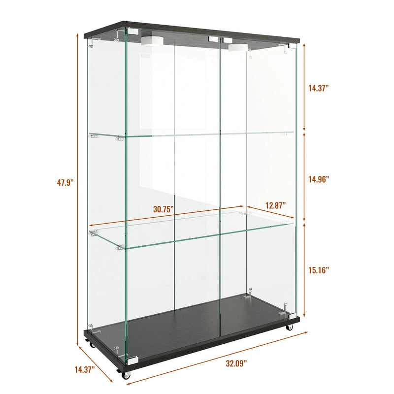 Modern Display Cabinet With LED Lights, Transparent Tempered Glass 2 Door Storage Case With 3 Shelves by HouseOfZazla