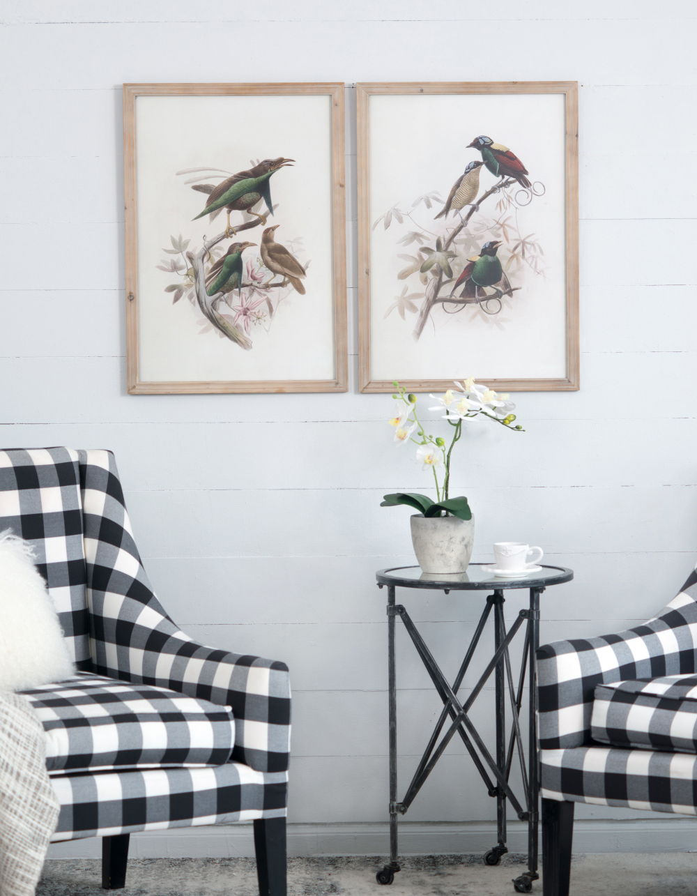 Bird Framed Print Set with Light Wood Frame - Multicolor