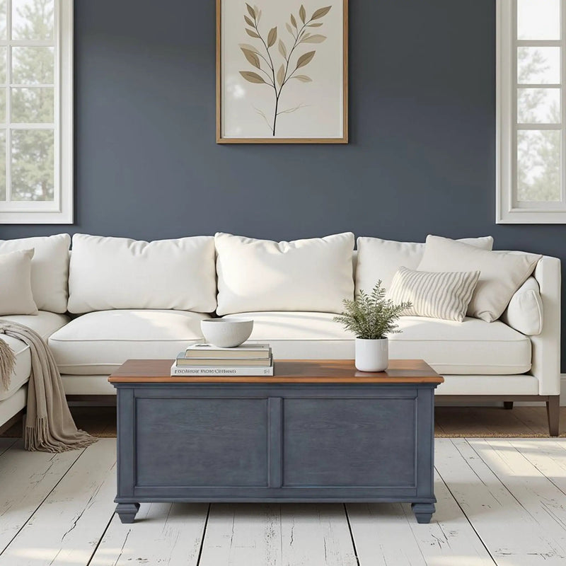 Lift-Top Coffee Table - Blue by HouseOfZazla