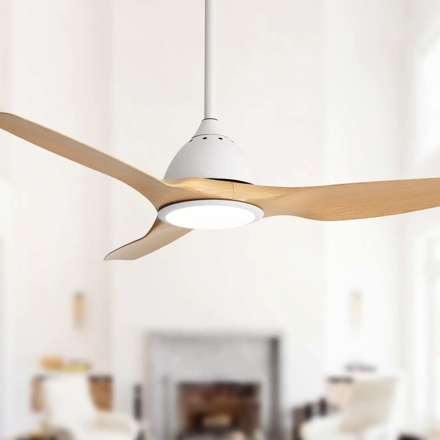 Bredoom Ceiling Fan With Remote Control And LED Light by HouseOfZazla