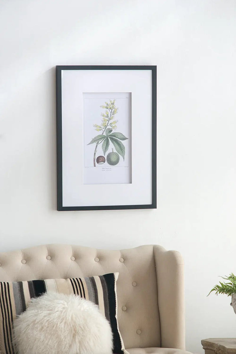 19.7x27.6 Botanical Wall Arts, Set of 2 by HouseOfZazla