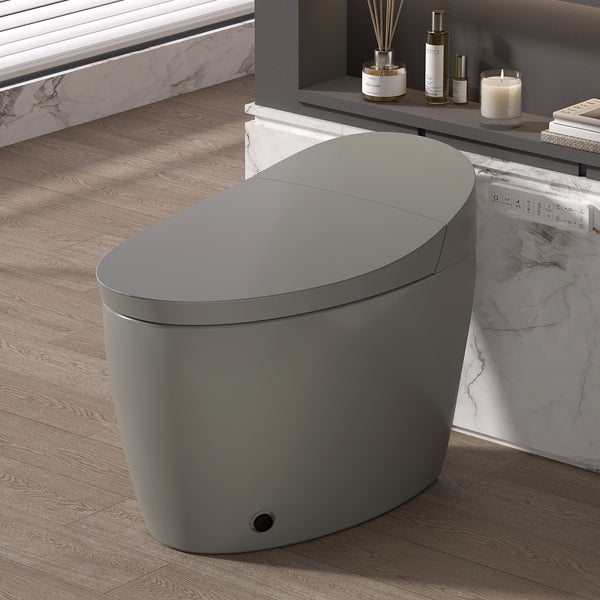 Smart Toilet with Bidet Built In, Heated Seat & Auto Open/Close - Grey or White