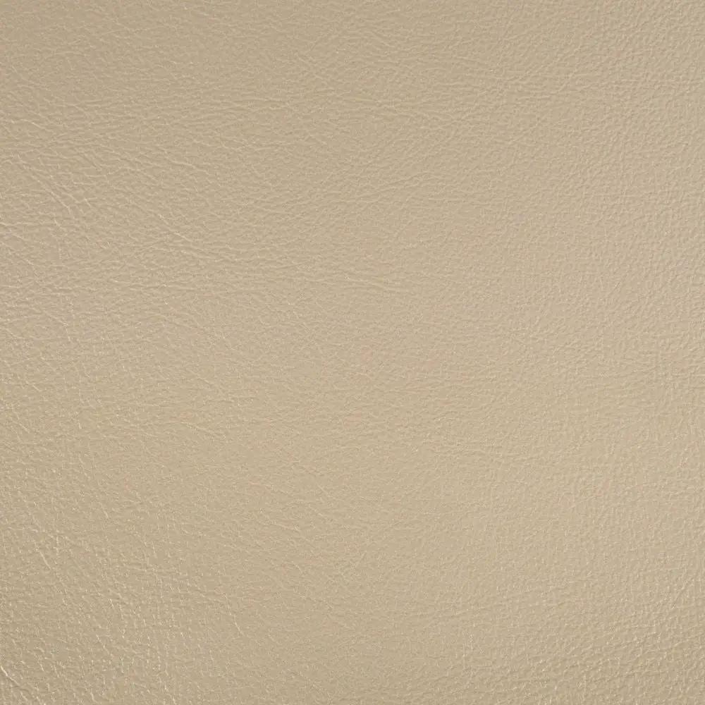 Danae - Arm Chair (Set of 2) - Synthetic Leather , Champagne & Gold by Unique Piece Furniture