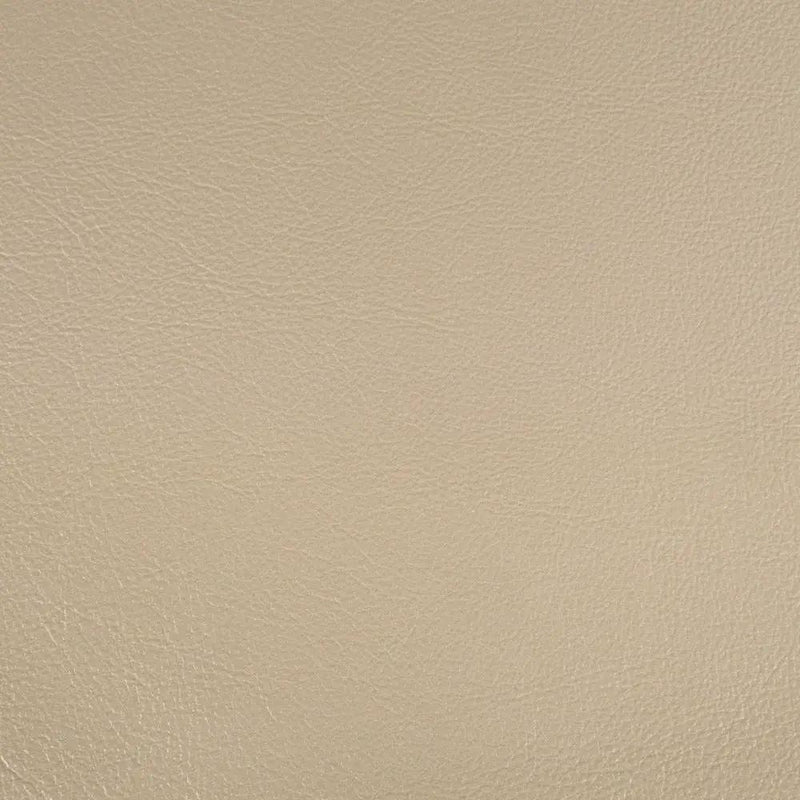 Danae - Arm Chair (Set of 2) - Synthetic Leather , Champagne & Gold by Unique Piece Furniture