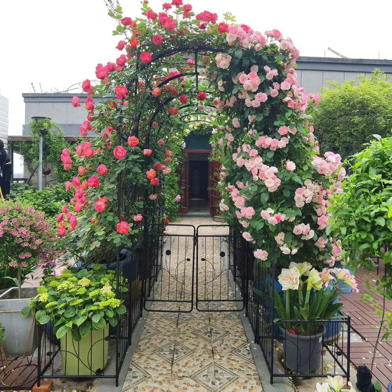 Metal Garden Arch With Two Plant Stands Wide High Climbing Plants Support Rose Arch Outdoor - Black by HouseOfZazla