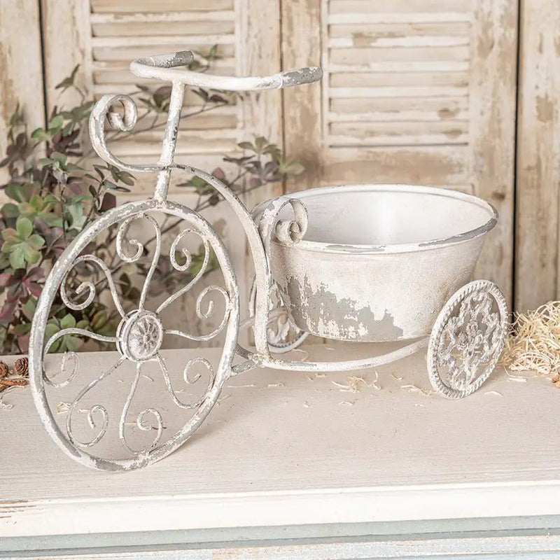 Rustic Bicycle Metal Wire Wall Planter Basket by HouseOfZazla