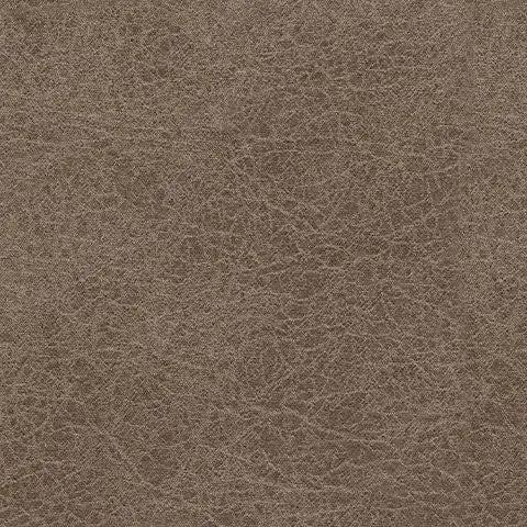 Navi - Queen Sofa Sleeper - Fossil by Unique Piece Furniture