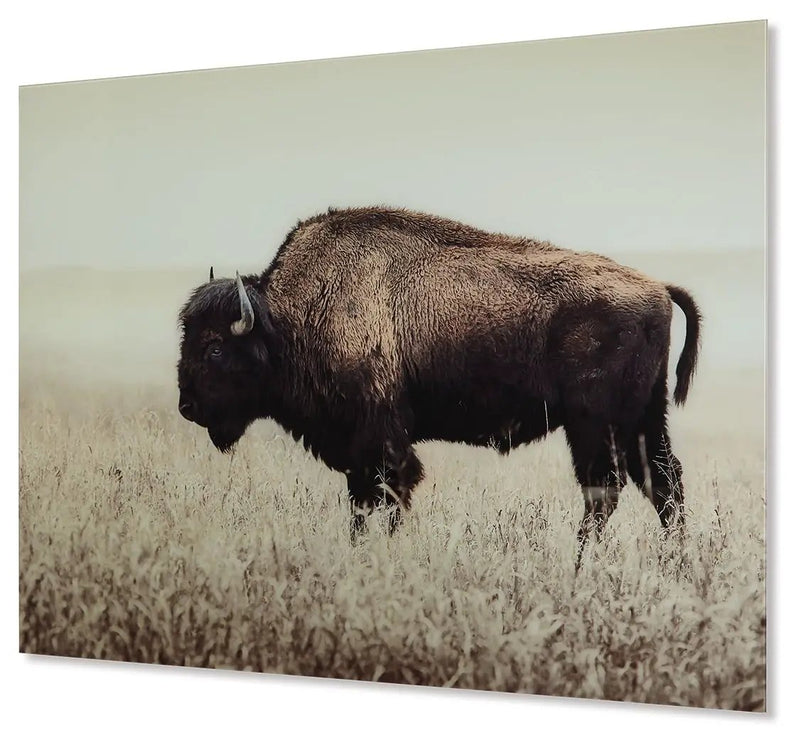 Brutus - Wall Art - Sepia by Unique Piece Furniture