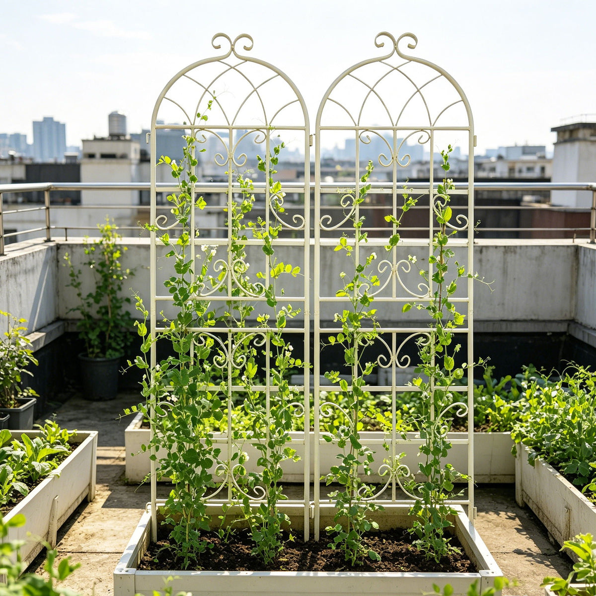Metal Garden Rustproof Trellis For Climbing Plants Outdoor Flower Support, photo 12 of 20