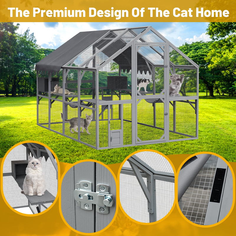 Cat House by HouseOfZazla