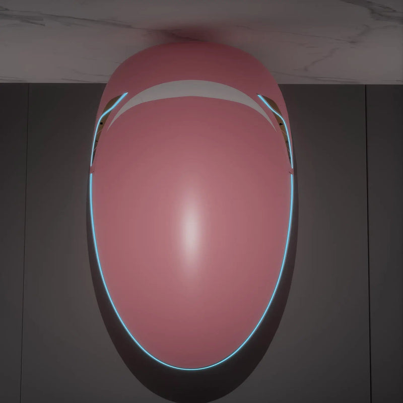 Unique Smart Toilet with Bidet Built-In by HouseOfZazla