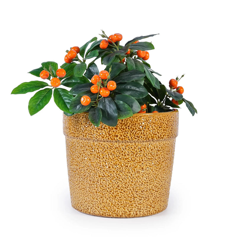 Handmade Ceramic Planter Set of 3 by HouseOfZazla