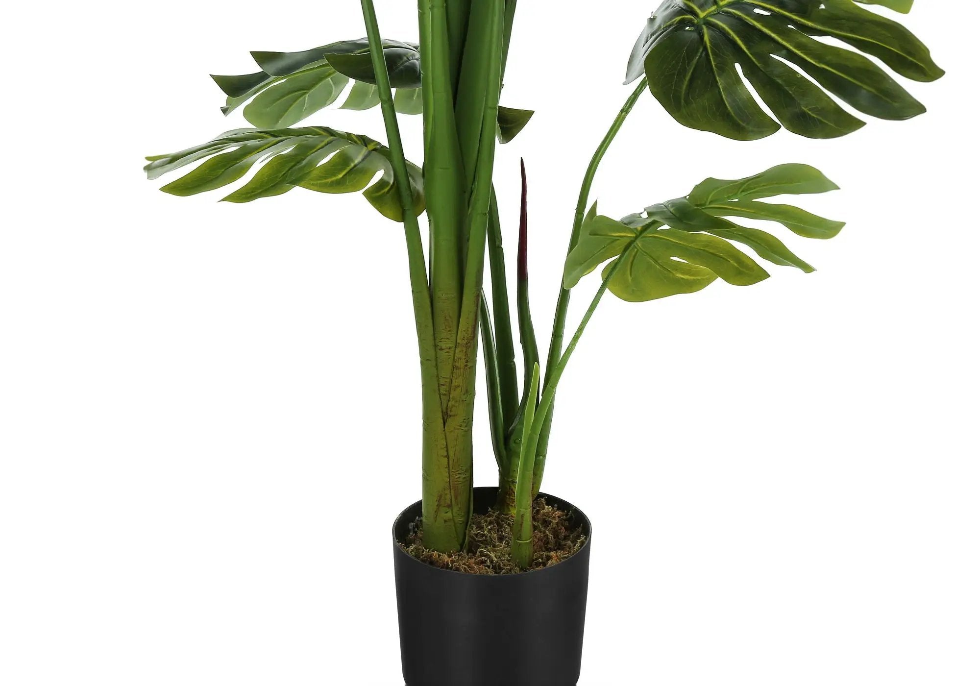 55" Tall, Artificial Plant, Monstera Tree, Indoor, Faux, Fake, Floor, Greenery, Potted, Real Touch, Decorative - Green / Black by Unique Piece Furniture