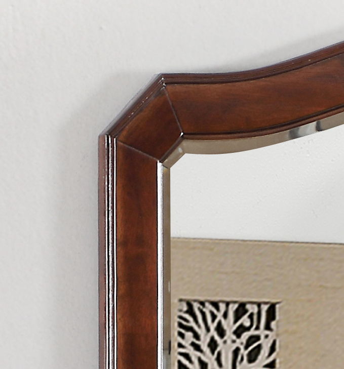 Triton - Mirror - Cappuccino by Unique Piece Furniture
