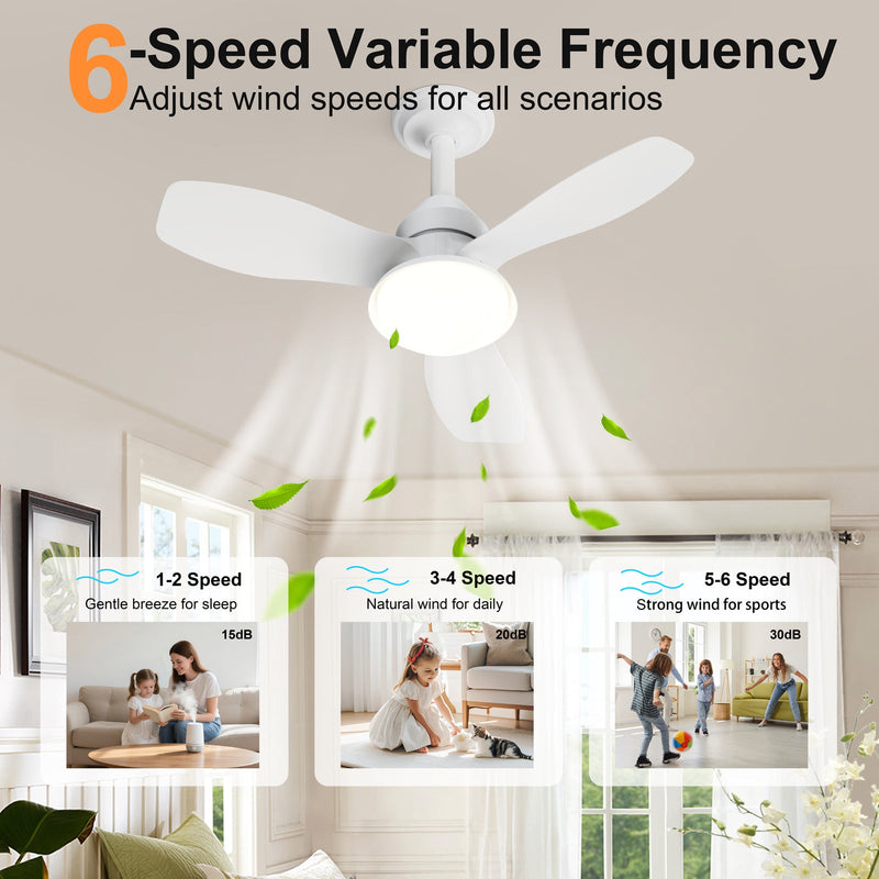24.4" Modern Ceiling Fan with Light by HouseOfZazla