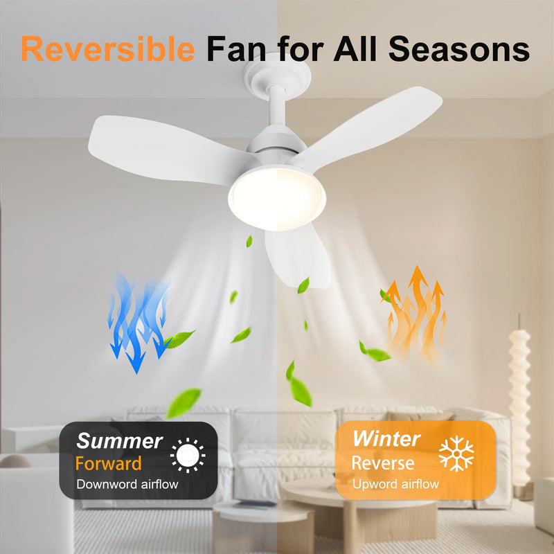24.4" Modern Ceiling Fan with Light by HouseOfZazla
