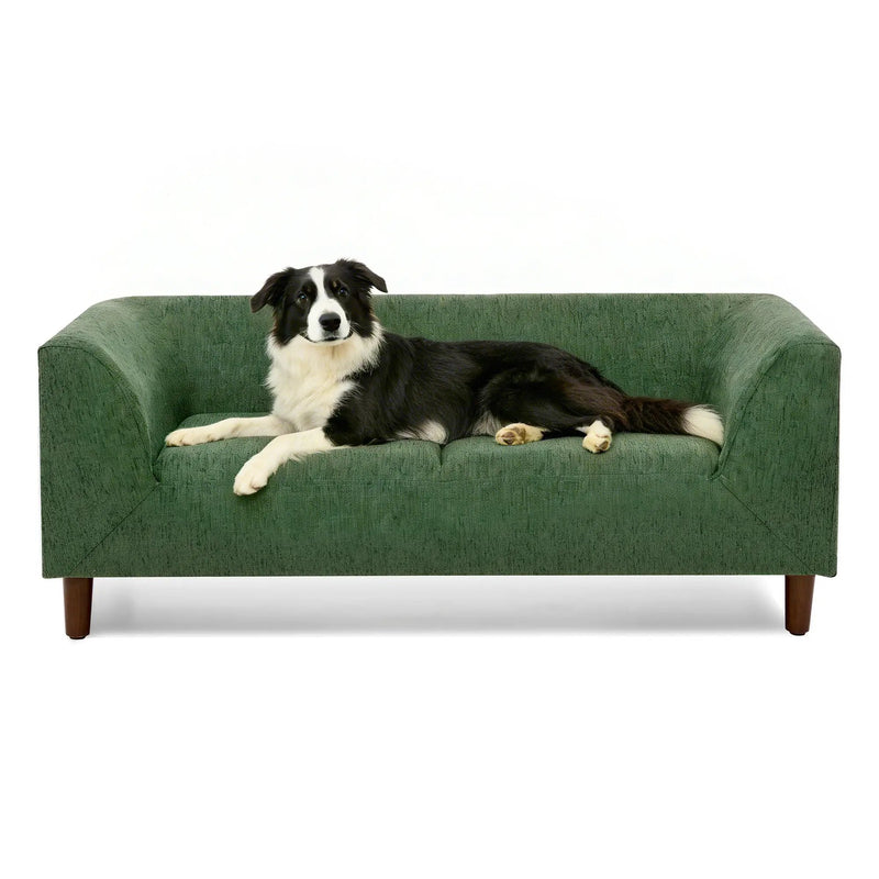 Pet Sofa with Backrest and Armrests - Modern Olive by HouseOfZazla