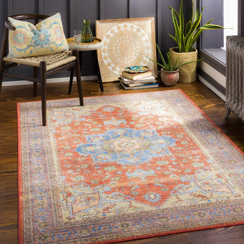 Bacoor Washable Area Rug - Clearance by Boutique Rugs