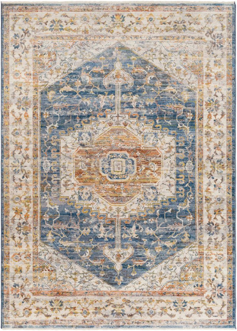 Solana Distressed Medallion Area Carpet - Clearance by Boutique Rugs