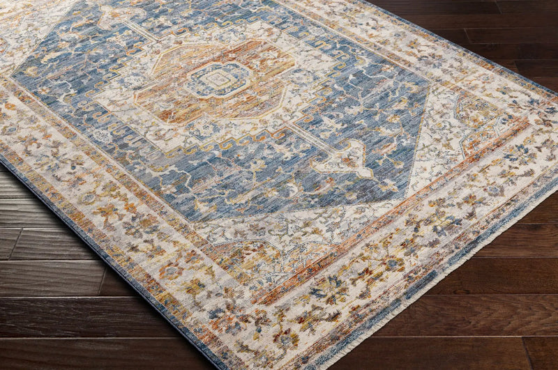Solana Distressed Medallion Area Carpet - Clearance by Boutique Rugs