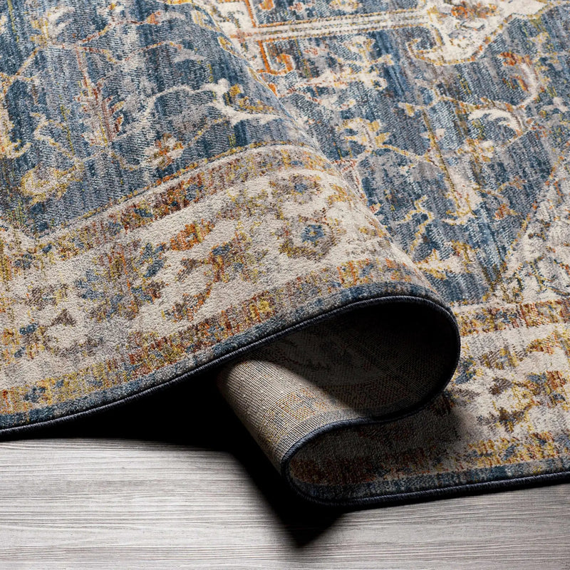 Solana Distressed Medallion Area Carpet - Clearance by Boutique Rugs