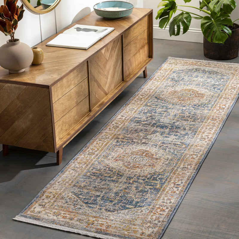 Solana Distressed Medallion Area Carpet - Clearance by Boutique Rugs