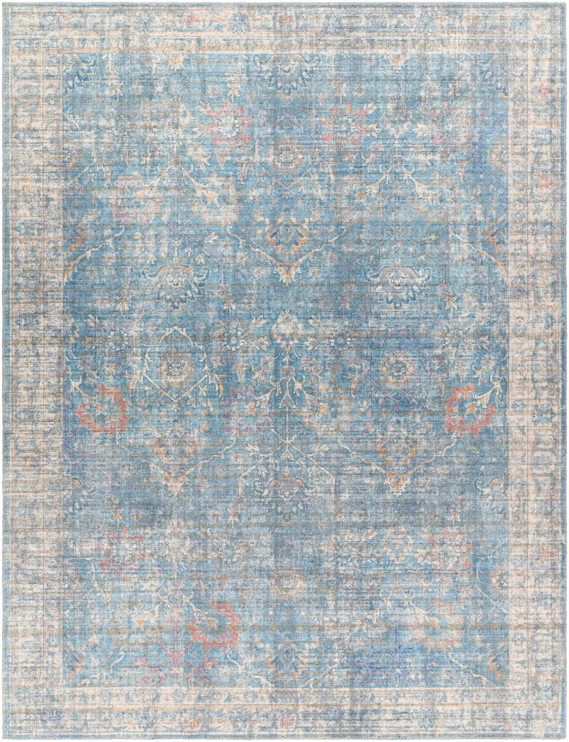 Bagontapay Washable Area Rug - Clearance by Boutique Rugs