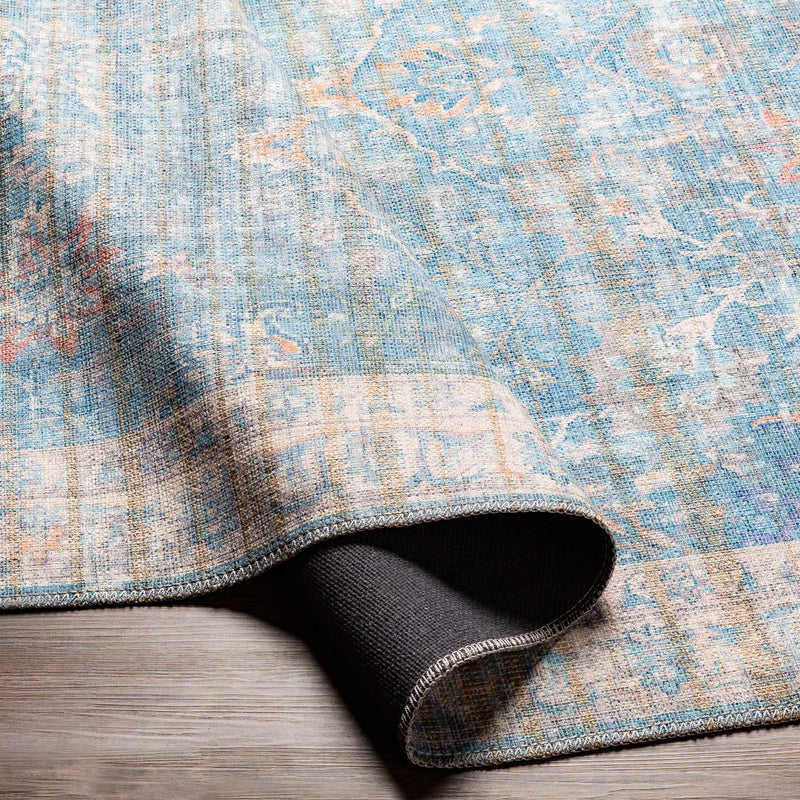 Bagontapay Washable Area Rug - Clearance by Boutique Rugs