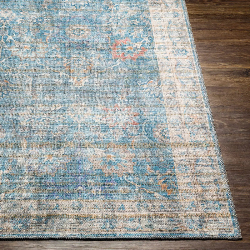 Bagontapay Washable Area Rug - Clearance by Boutique Rugs