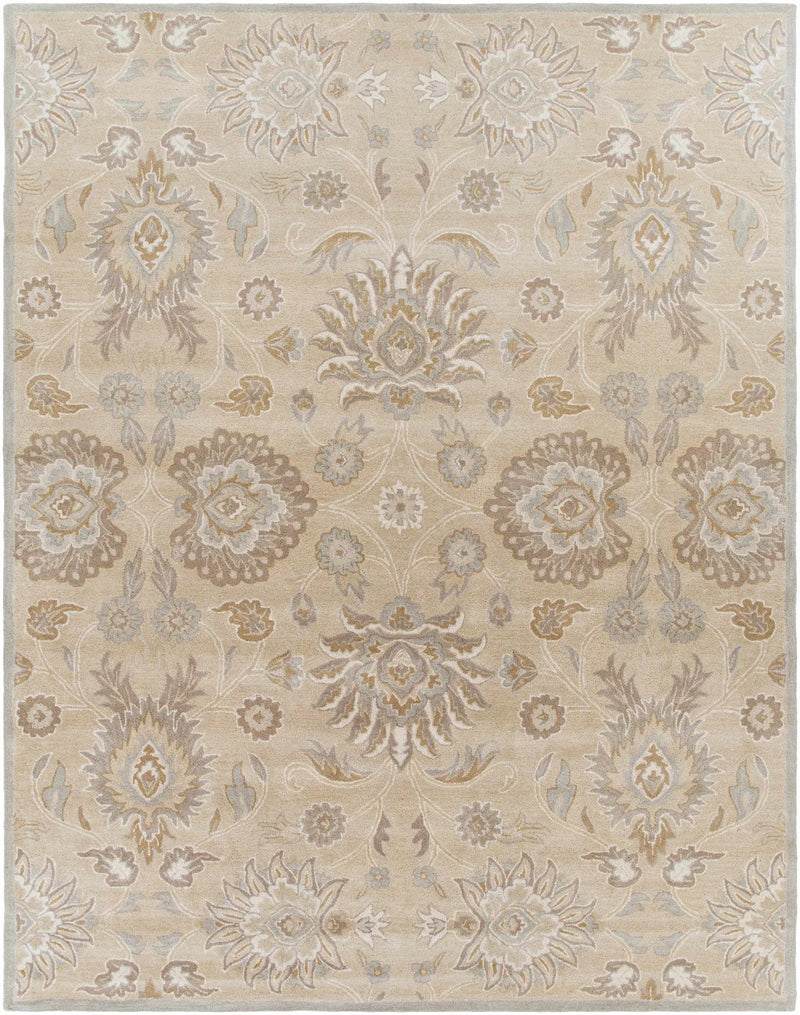 Conesus 1192 Hand Tufted Ivory&Taupe Wool Rug by Boutique Rugs