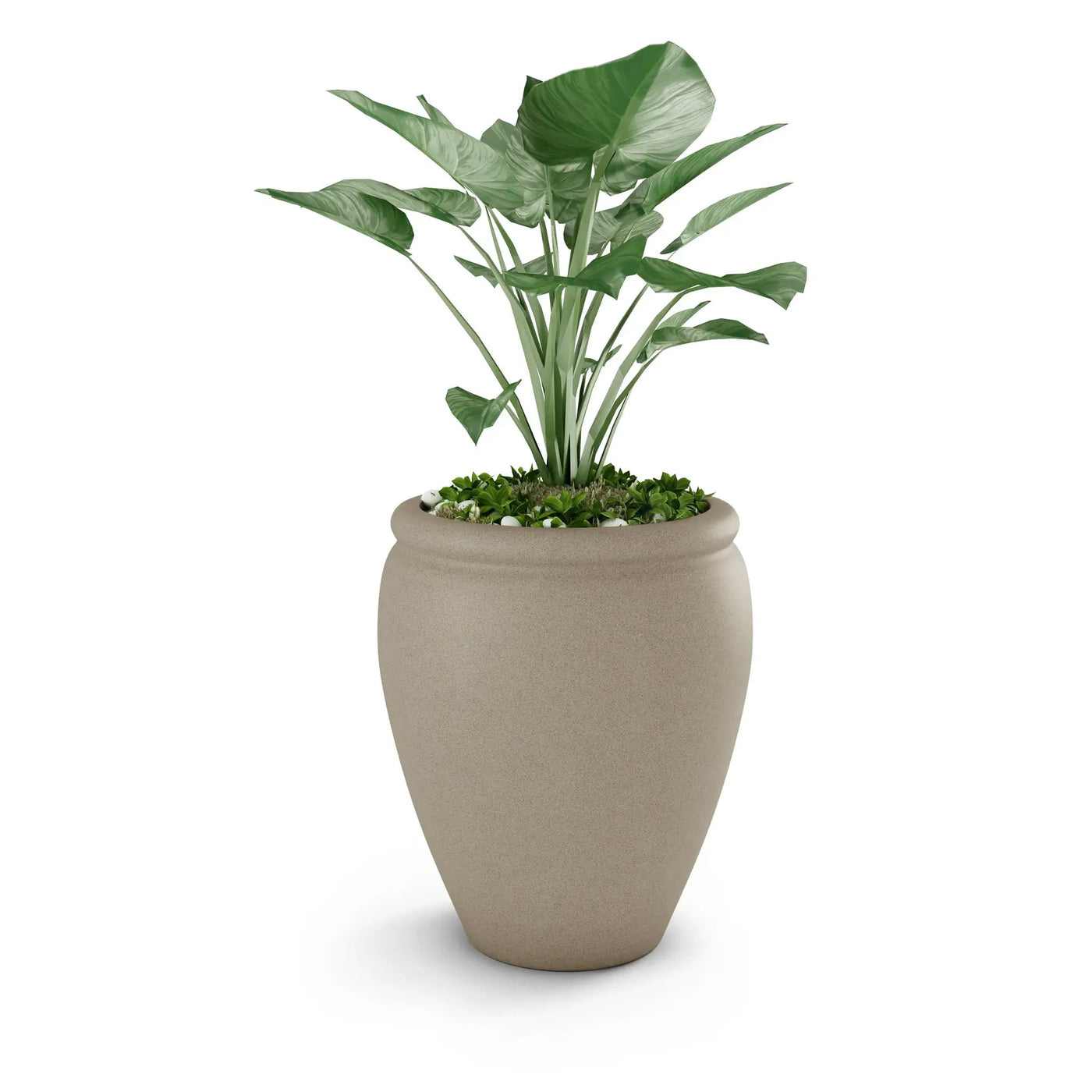 Bambino Planter by ModaConcrete - Direct source for architectural and precast concrete