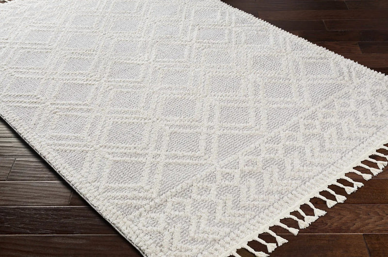 Bansalan Area Rug - Clearance by Boutique Rugs