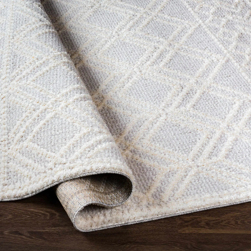 Bansalan Area Rug - Clearance by Boutique Rugs