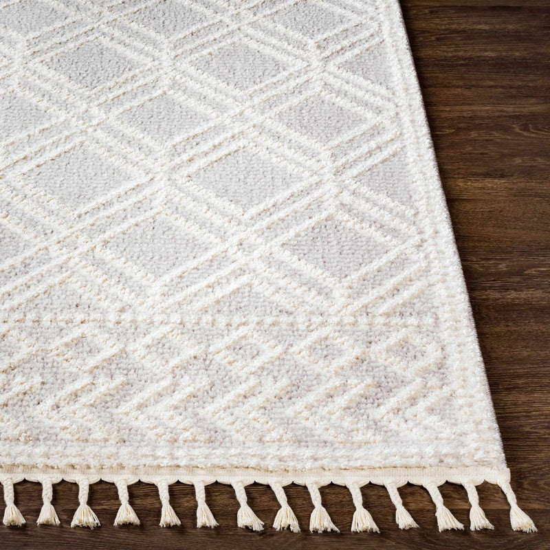 Bansalan Area Rug - Clearance by Boutique Rugs
