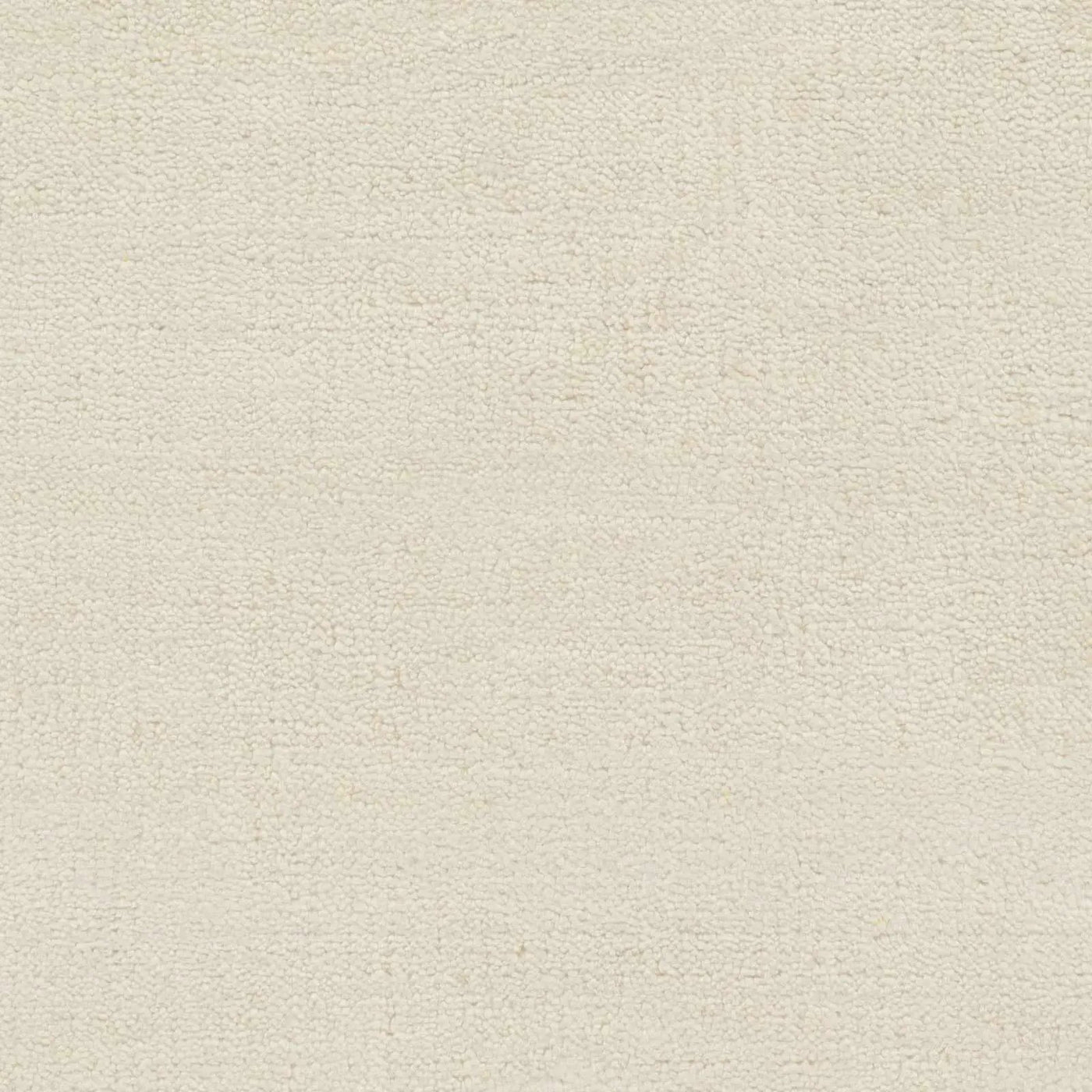 Barree Area Carpet - Clearance by Boutique Rugs